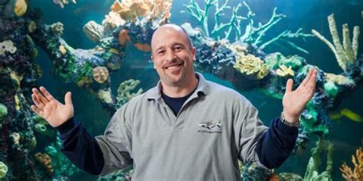 Brett Raymer Net Worth