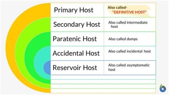 Host- primary