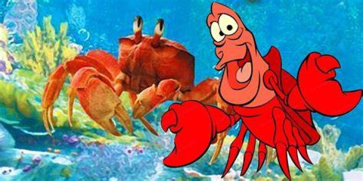 Sebastian